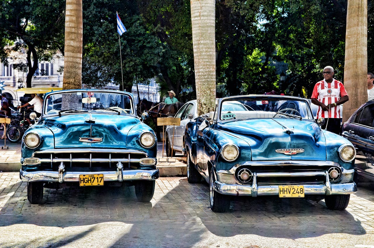 Showcasing beautifully restored vintage cars parked under palm trees in Havana, Cuba.